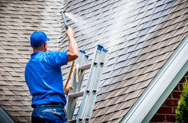 bellevue roof cleaning